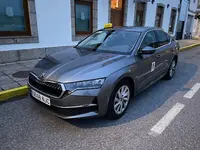 Dario Taxi Trives