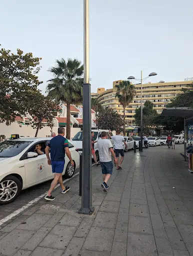Taxi Adeje, Torviscas