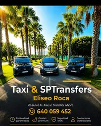 Eliseo Roca Taxi