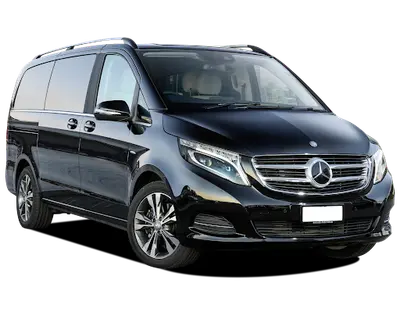 Autosur Services