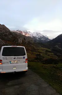 Taxi Pachu