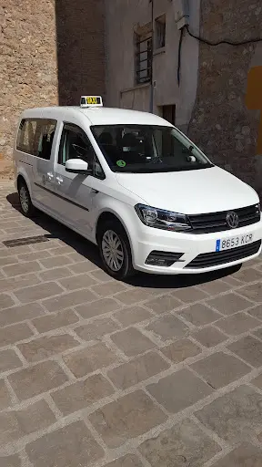 Taxi Berga Adaptat- Raul