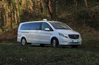 TAXI ADAPTADO Balmaseda, hasta 7 plazas
