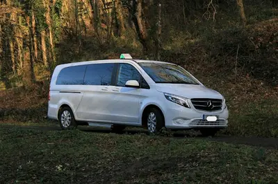 Taxi Pepe 608879595