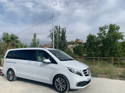 Taxi Caravaca Andreu 8 Plazas