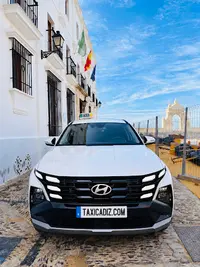 TaxiCádiz.com & Domingo Mendiguren. Licencia 94