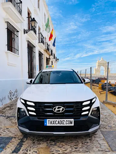 TaxiCádiz.com & Domingo Mendiguren. Licencia 94