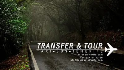 Taxi & Bus Tenerife