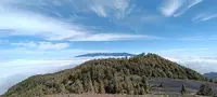 Taxis Fuencaliente - La Palma- Ruta de los Volcanes