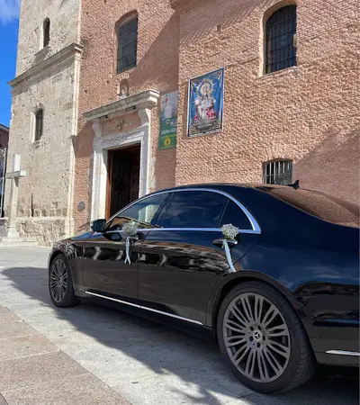 Chofer Guadalajara VTC