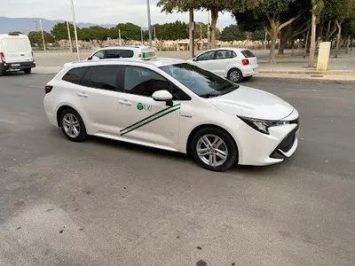 Taxi bajo andarax