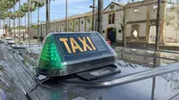 Taxis Millán (9 plazas)