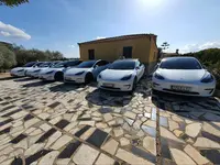 Taxi Valencia Tesla