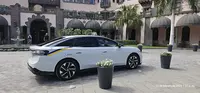 Taxi eléctrico las palmas