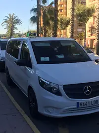 taxis y autobuses ROYJU
