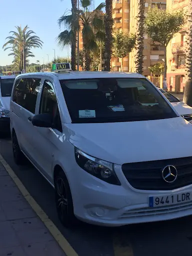 taxis y autobuses ROYJU