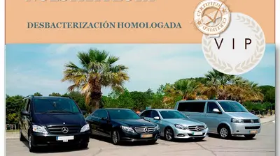 Taxi Vip Valles