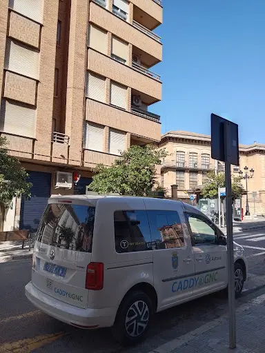 Taxi Lliria Verdi
