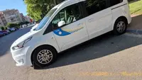 Taxi Lorca Daniel