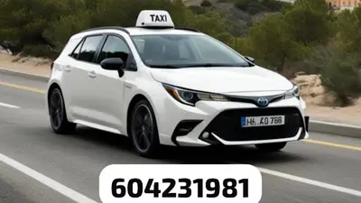 Taxi Palmones Los Barrios Campo de Gibraltar
