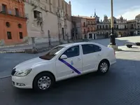 Taxi Adaptado Eurotaxis Medina Del Campo