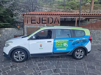 TaxiAuto Mogán