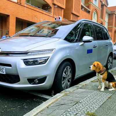 Parada Taxi Muskiz Crucero Álvaro Ortiz