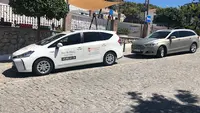 Nerja Taxi Trips