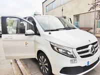 Taxi Ramiro Losada Gómez