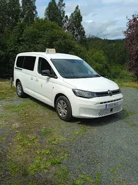 Taxi Feliciano 7 Plazas (6+Conductor)