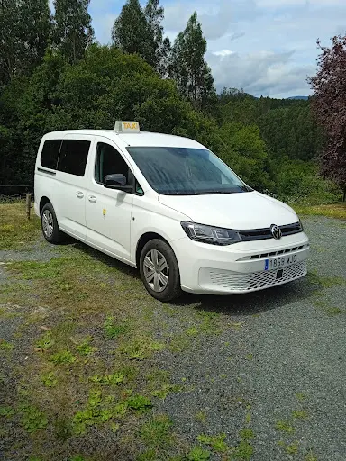 Taxi Feliciano 7 Plazas (6+Conductor)