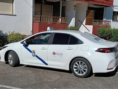 Taxi Pelayos