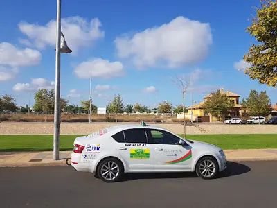 Taxi Services Mil Palmeras