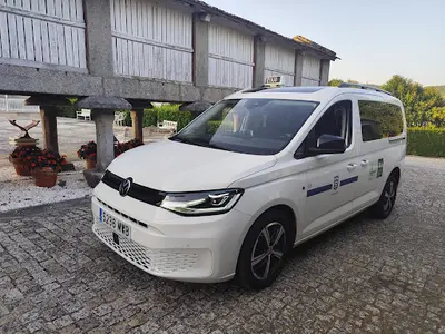 Taxi Pontevedra 7 plazas y sillas de ruedas Nº63