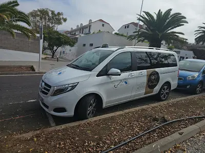 TAXI Ramon Leonard Dulgheru