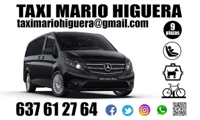 Taxi 9 plazas Mario Higuera