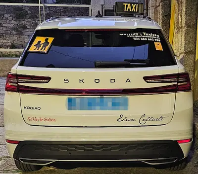 Gorrión Taxista (Taxi 7 plazas)