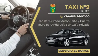 Taxi n9 rute