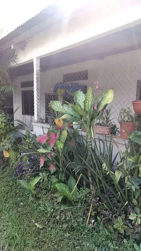 Parada de "Alameda" - Pidetaxi San Fernando