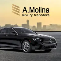 Servicios Luxury Transfer | A. Molina | Taxi 9 plazas Aeropuerto