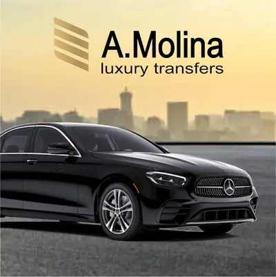 Servicios Luxury Transfer | A. Molina | Taxi 9 plazas Aeropuerto