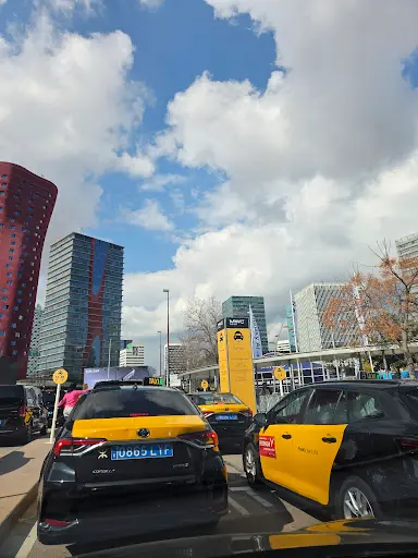 Elect Taxi Tesla