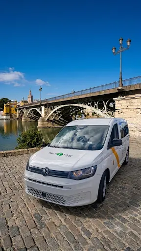 Eurotaxi sevilla 7 plazas