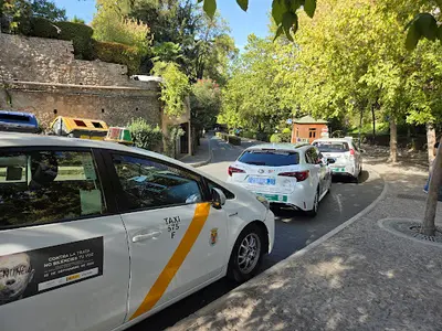 Taxi Driver Sevilla