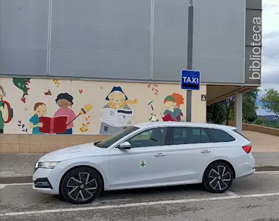 Taxitorderajordiparicio