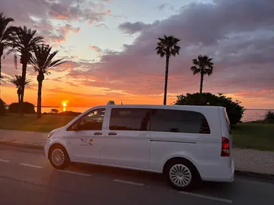 AirPort Transfer Maxi Taxi Torrevieja Pablo 77