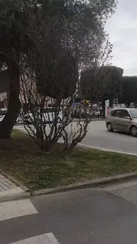 Taxis Tossa