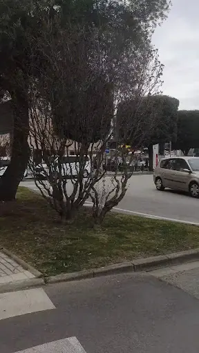 Taxis Tossa