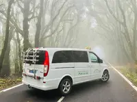 tutaxilagomera.com