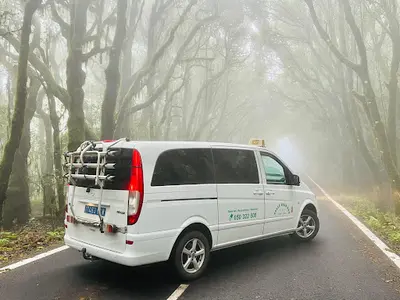 tutaxilagomera.com